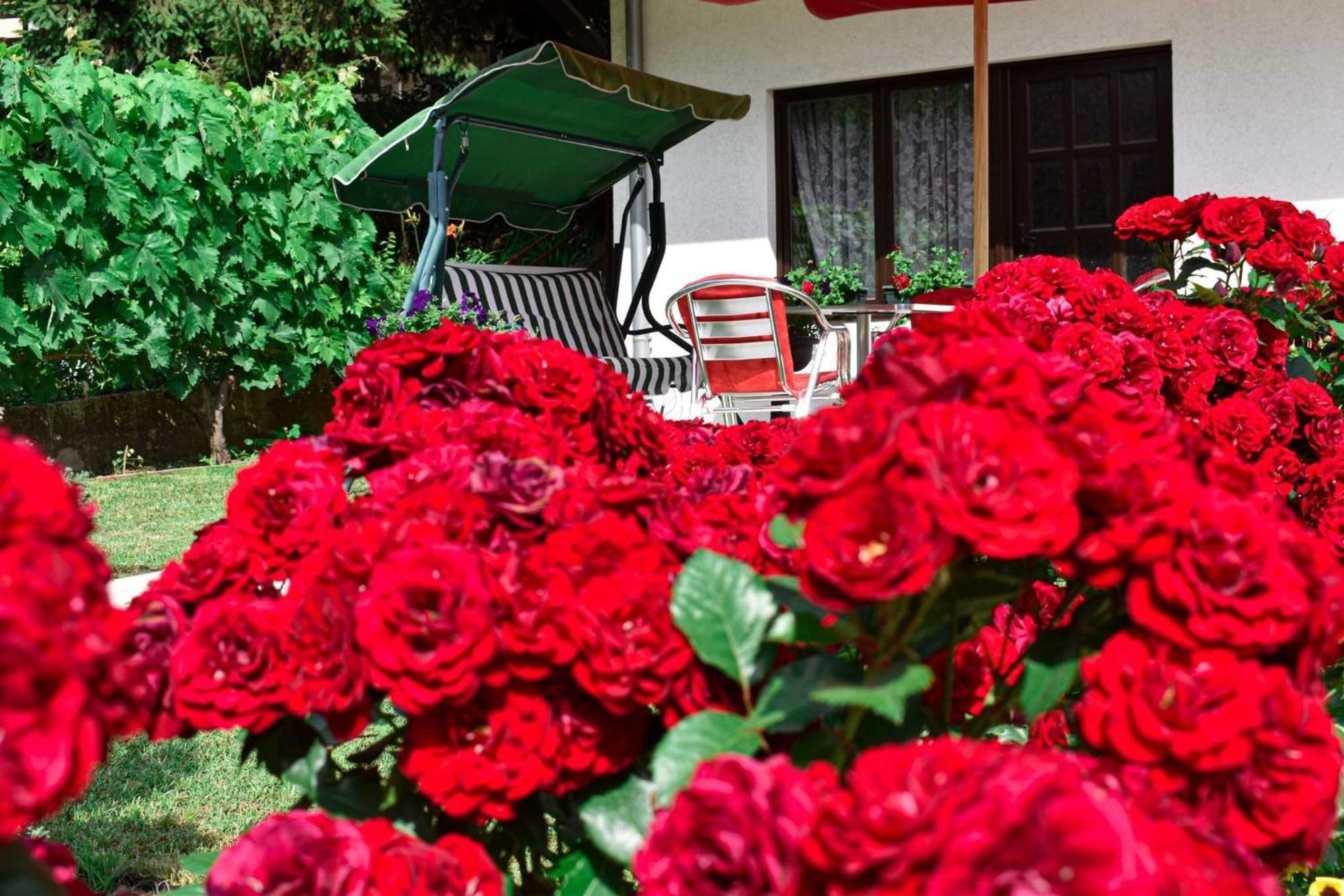 Apartmani "Vila Jelena" Arandjelovac Rom bilde